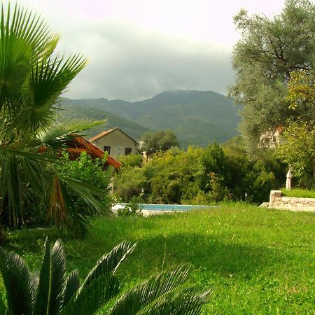 Villa Mia Apartments Bijela Buitenkant foto